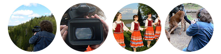 vitema.ru